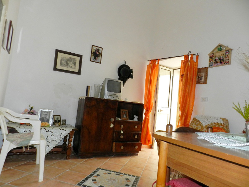 Immagine 3