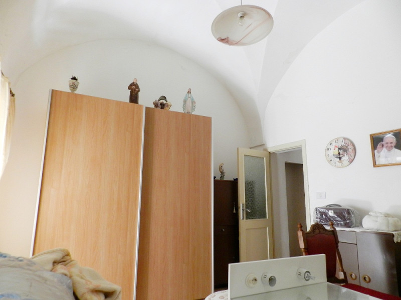 Immagine 7