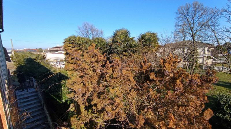 Piazzola sul Brenta: in pieno centro, comodissimo a tutti i servizi, lotto edificabile residenzia...