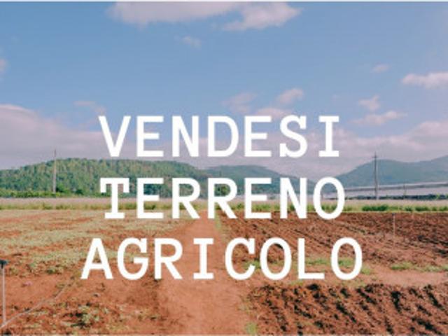 Noale Vendita Terreno terreno agricolo/coltura