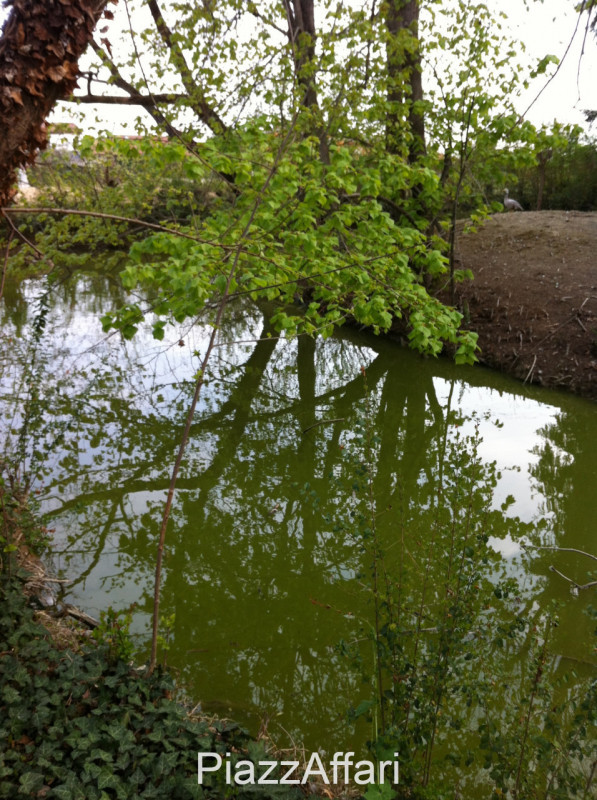 Stravagante ed eclettica proprietà costituita da una villa singola immersa nella pace e nella tra...