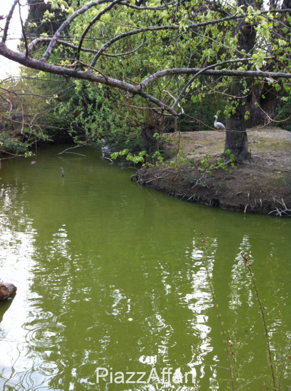 Stravagante ed eclettica proprietà costituita da una villa singola immersa nella pace e nella tra...