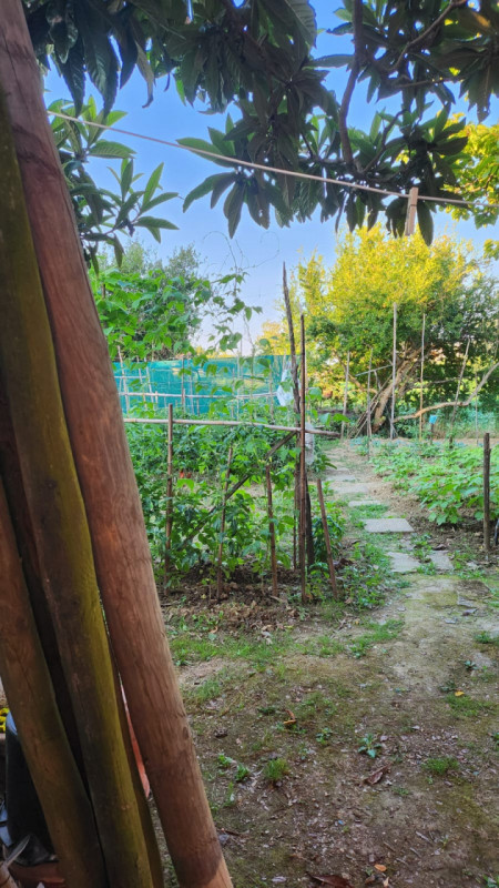 Nella zona del Canton della Madonna, comoda a Rubano, Caselle, Selvazzano Centro e Mestrino propo...