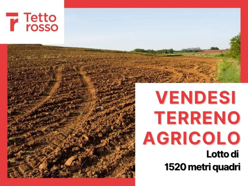 NOALE - Proponiamo in vendita terreno agricolo di 1500mq circa, in località Cappelletta, vicino a...