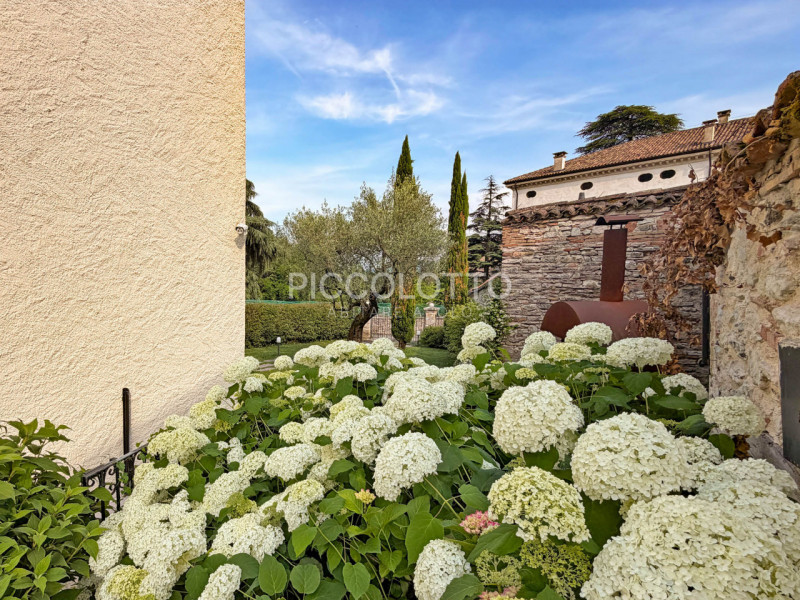 Rif. V5239 - Antica casa in pietra situata in pregevole contesto a pochi minuti da Asolo e nelle ...