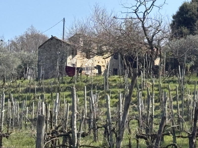 PORZIONE ACCOSTATA DI TESTA DI RUSTICO: Se sei alla ricerca di un'opportunità unica per realizzar...