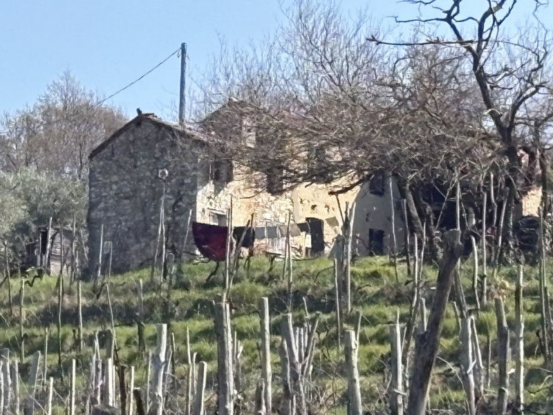 PORZIONE ACCOSTATA DI TESTA DI RUSTICO: Se sei alla ricerca di un'opportunità unica per realizzar...