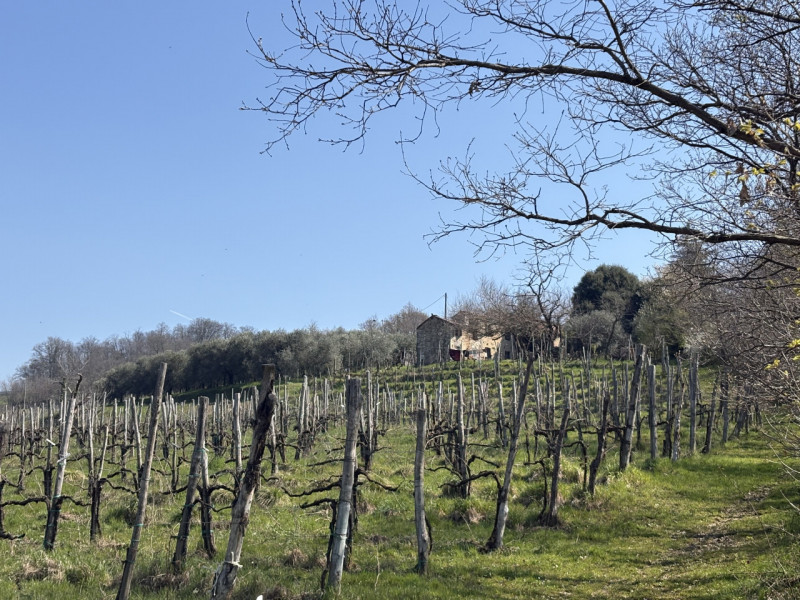 PORZIONE ACCOSTATA DI TESTA DI RUSTICO: Se sei alla ricerca di un'opportunità unica per realizzar...