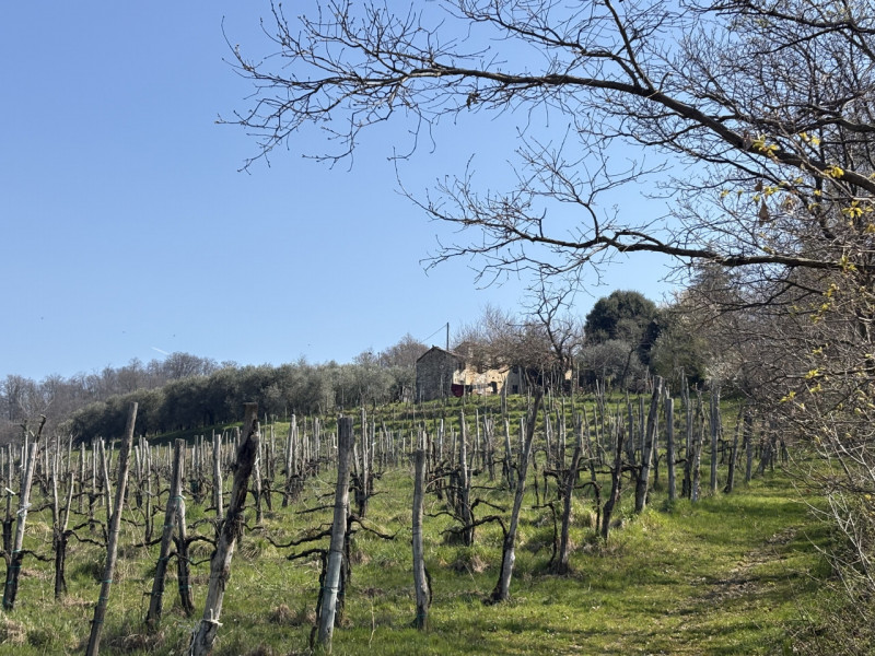 PORZIONE ACCOSTATA DI TESTA DI RUSTICO: Se sei alla ricerca di un'opportunità unica per realizzar...