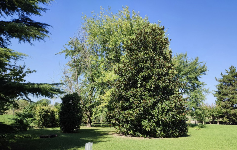 (Per INFO Mattias 3494222146) Scopri questa magnifica villa contemporanea situata nel cuore di An...