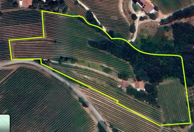 Proponiamo in vendita a Vo', in una posizione collinare appartata, imperdibile abitazione rustica...