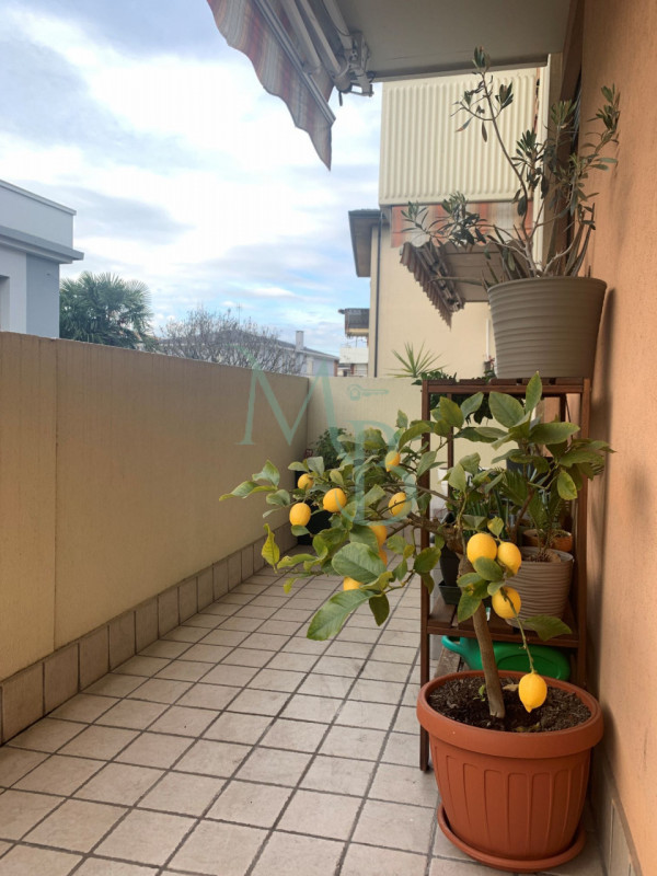 PADOVA – CAMIN: Immobiliare MB è lieta di proporre in esclusiva un raffinato appartamento quadril...