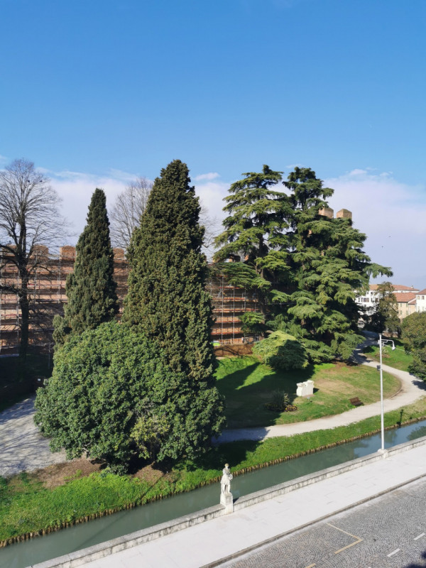 Vendiamo quattro esclusivi appartamenti situati nella prima linea di palazzi lungo il corso XXIX ...