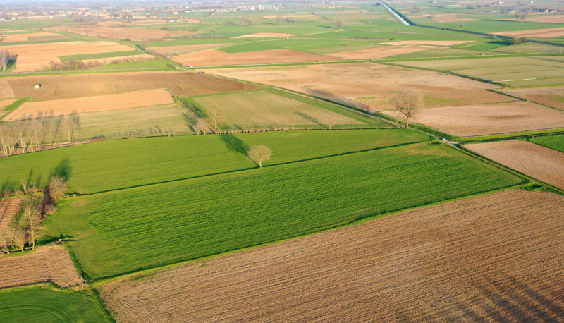 Bozzolo Vendita Terreno terreno agricolo/coltura