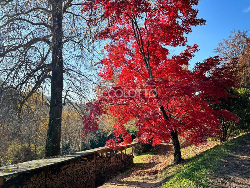 Rif. V5247 - Ad Asolo, immersa nella tranquillità dei Colli e a soli 5 minuti dal centro storico,...