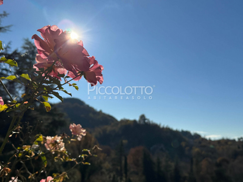 Rif. V5247 - Ad Asolo, immersa nella tranquillità dei Colli e a soli 5 minuti dal centro storico,...