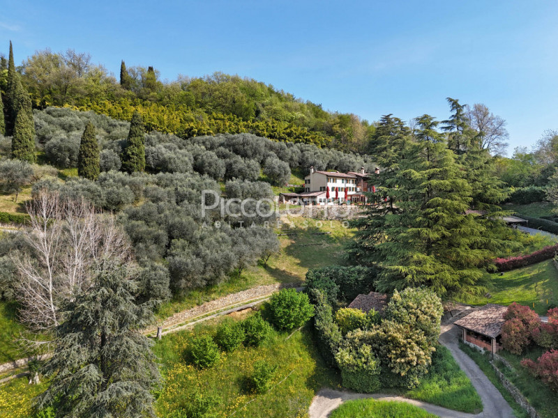 Rif. V5247 - Ad Asolo, immersa nella tranquillità dei Colli e a soli 5 minuti dal centro storico,...