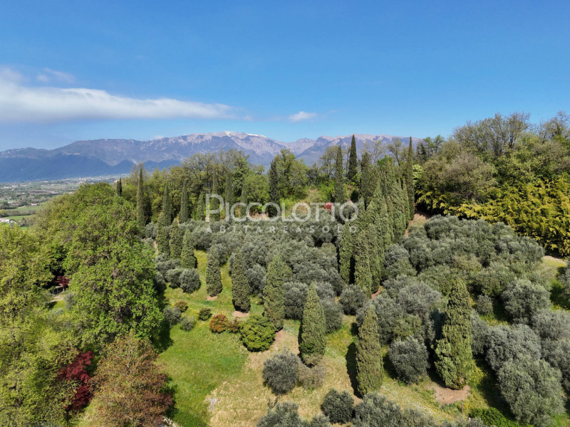 Rif. V5247 - Ad Asolo, immersa nella tranquillità dei Colli e a soli 5 minuti dal centro storico,...