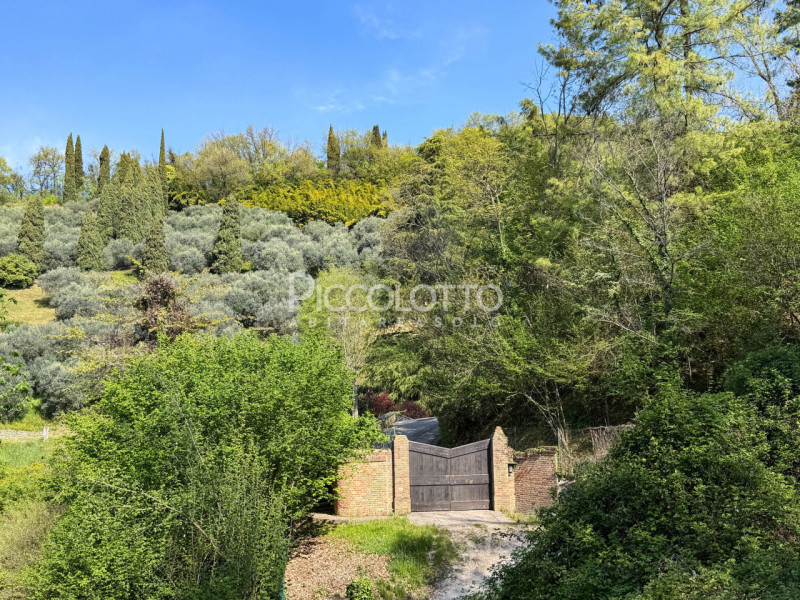 Rif. V5247 - Ad Asolo, immersa nella tranquillità dei Colli e a soli 5 minuti dal centro storico,...