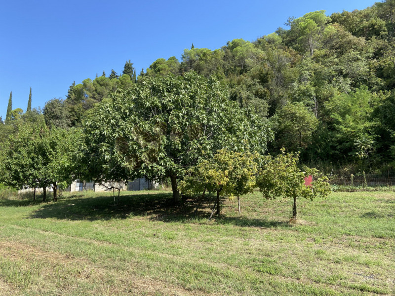 In vendita, nel comune di Sossano, un'affascinante proprietà rustica immersa nella tranquillità d...