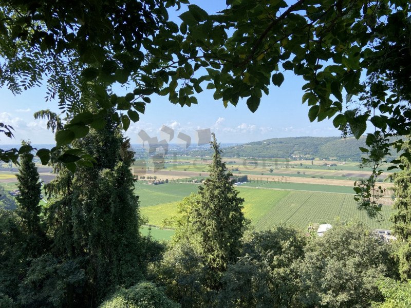 In vendita, nel comune di Sossano, un'affascinante proprietà rustica immersa nella tranquillità d...