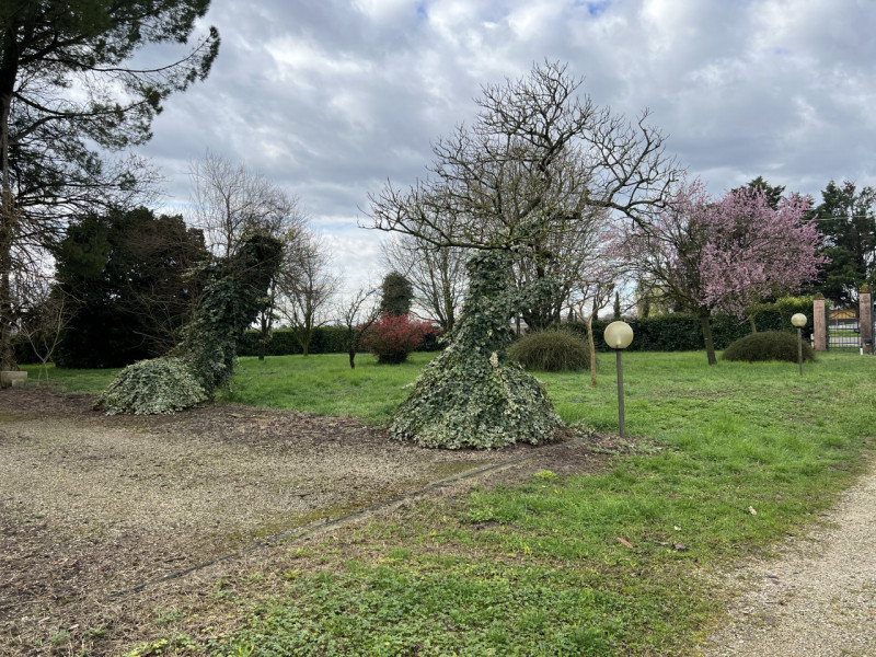 Boara Pisani (PD)

Immersa nella tranquillità della campagna di Boara Pisani, proponiamo in vendi...