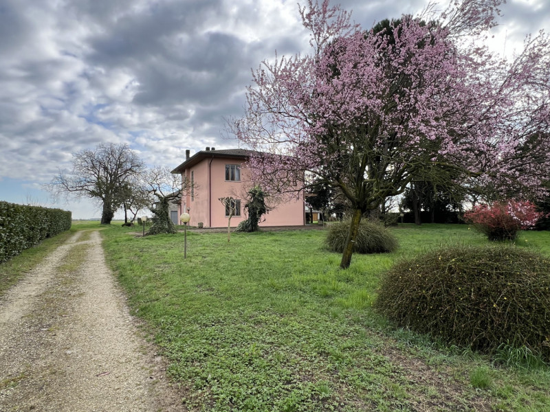 Boara Pisani (PD)

Immersa nella tranquillità della campagna di Boara Pisani, proponiamo in vendi...