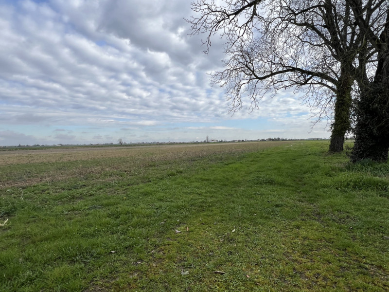 Boara Pisani (PD)

Immersa nella tranquillità della campagna di Boara Pisani, proponiamo in vendi...