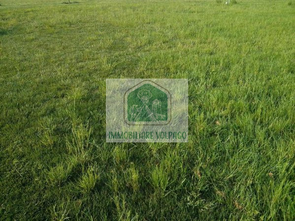 proprietà situata nella periferia di Ponzano Veneto, all'interno di un piccolo borgo di case, que...