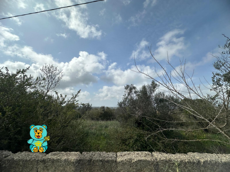 Terreni in Vendita a Parabita