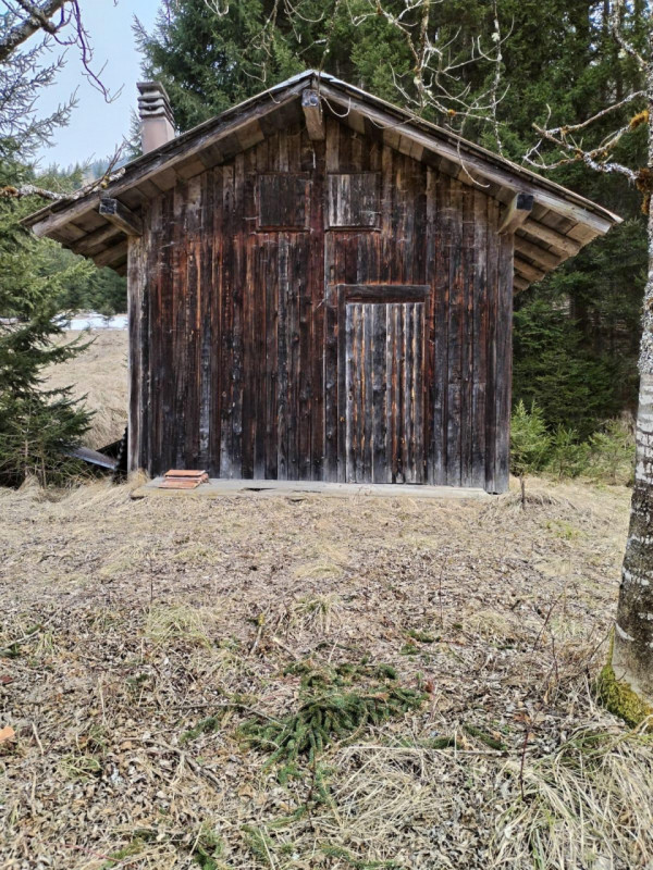Auronzo di Cadore Vendita Rustico baita