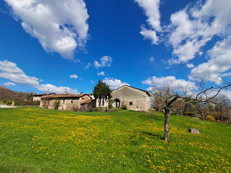 Scopri un'opportunità unica con questa splendida proprietà rustica situata nella rinomata zona re...
