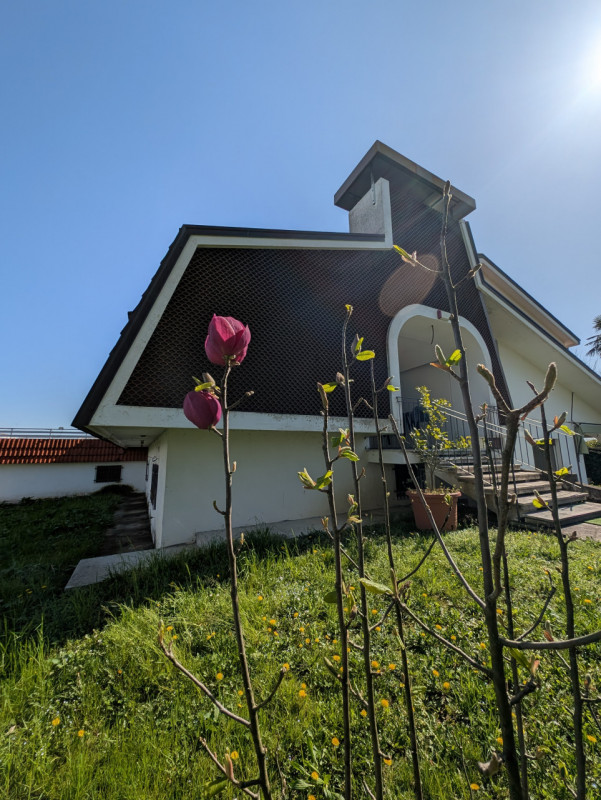 Se stai cercando un angolo di paradiso immerso nel verde, questa è l'opportunità che fa per te! P...