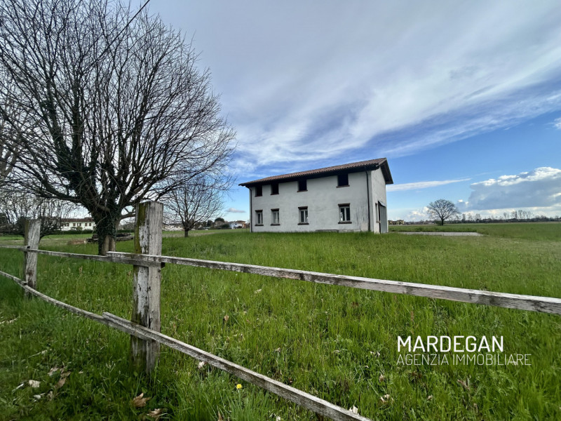 San Martino di Lupari Vendita Rustico rustico di campagna