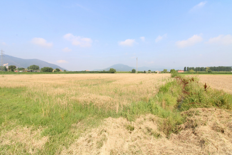 MONSELICE: si propone in vendita terreno agricolo di 60.098 mq. L'appezzamento rappresenta una va...