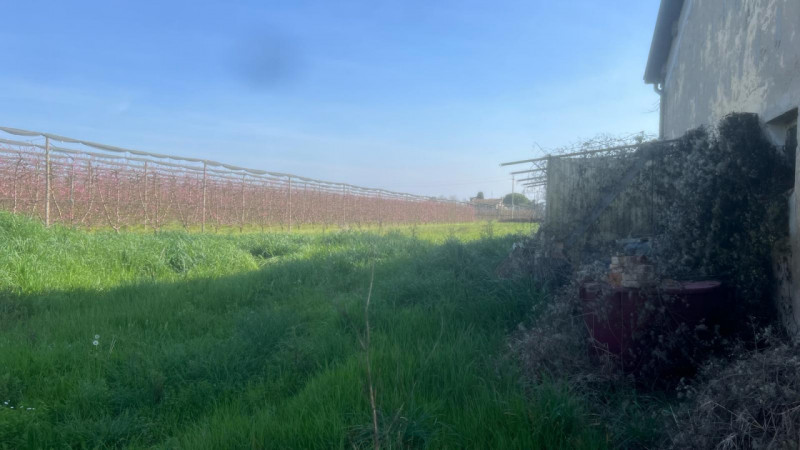 Cesena Vendita Casa singola terratetto