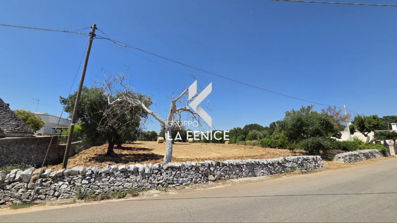 Locorotondo Vendita Terreno terreno agricolo/coltura