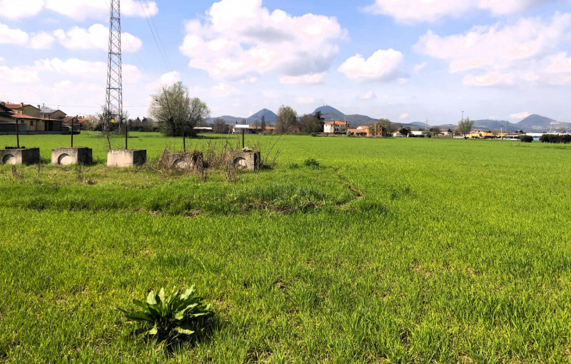 MONSELICE: terreno agricolo con una superficie totale di 5571 mq. Il terreno si trova nella strad...