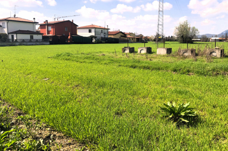 MONSELICE: terreno agricolo con una superficie totale di 5571 mq. Il terreno si trova nella strad...