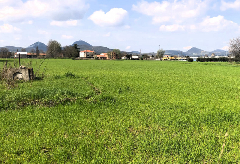 MONSELICE: terreno agricolo con una superficie totale di 5571 mq. Il terreno si trova nella strad...