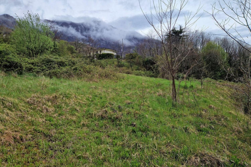 Quest’immobile viene venduto tramite asta online.
Terreno sito a Velo d’Astico (VI), via Riello s...