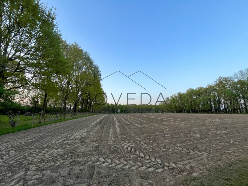 QUINTO DI TREVISO - SANTA CRISTINA

RIFERIMENTO: QT1

L'agenzia Roveda Immobiliare ha il piacere ...