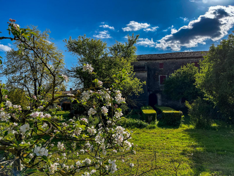 (Per INFO Vittorio 3517343301) Nel cuore della campagna veneta, a pochi passi dal centro di Soles...