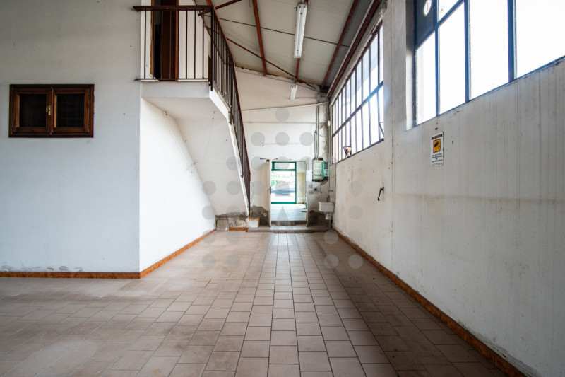 UN INTERO MONDO DA TRASFORMARE NEL CUORE DI TORREGLIA

Nel centro di Torreglia, dove tutto è a po...