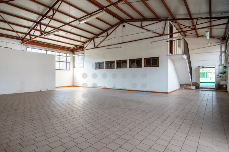 Torreglia centro – Fabbricato indipendente con negozio, abitazione, magazzini, garage e ampio sco...