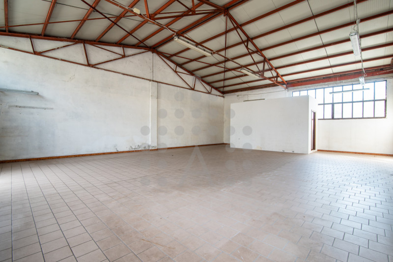 Torreglia centro – Fabbricato indipendente con negozio, abitazione, magazzini, garage e ampio sco...