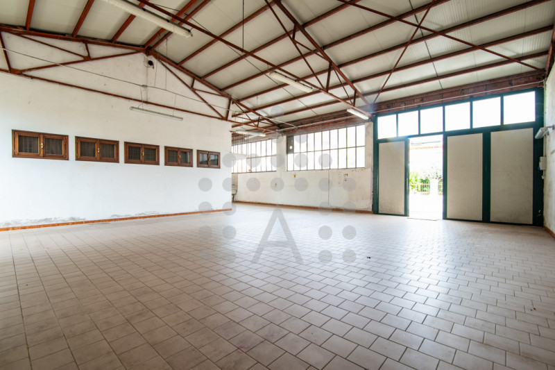 Torreglia centro – Fabbricato indipendente con negozio, abitazione, magazzini, garage e ampio sco...