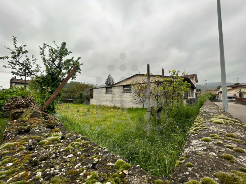 UN INTERO MONDO DA TRASFORMARE NEL CUORE DI TORREGLIA

Nel centro di Torreglia, dove tutto è a po...