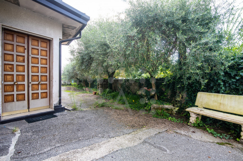 Torreglia centro – Fabbricato indipendente con negozio, abitazione, magazzini, garage e ampio sco...