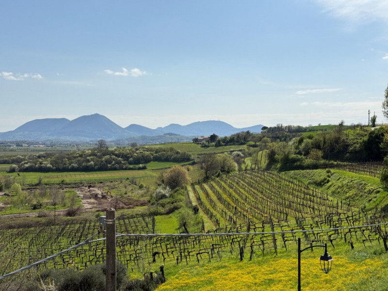 VILLA STORICA A VILLAGA DA RISTRUTTURARE CON VISTA STREPITOSA. EURO 165.000. CODICE 45280. POSSIB...